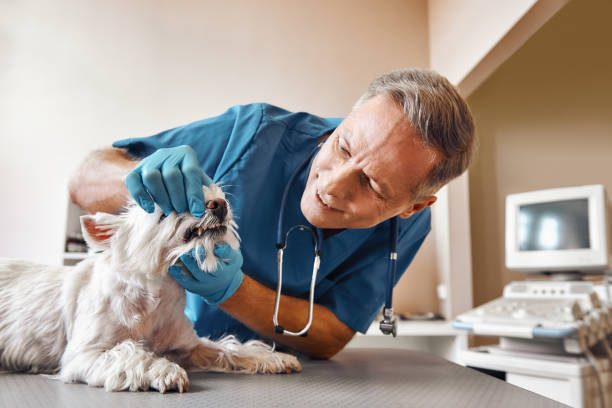 Best Same-Day Emergency Dentist in Rusk, TX